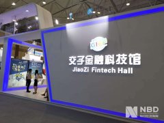 FSD正在华难落地催生灰色财产链：盗窟版安拆仅